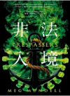 非法入境