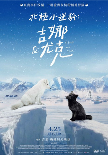 新片封面